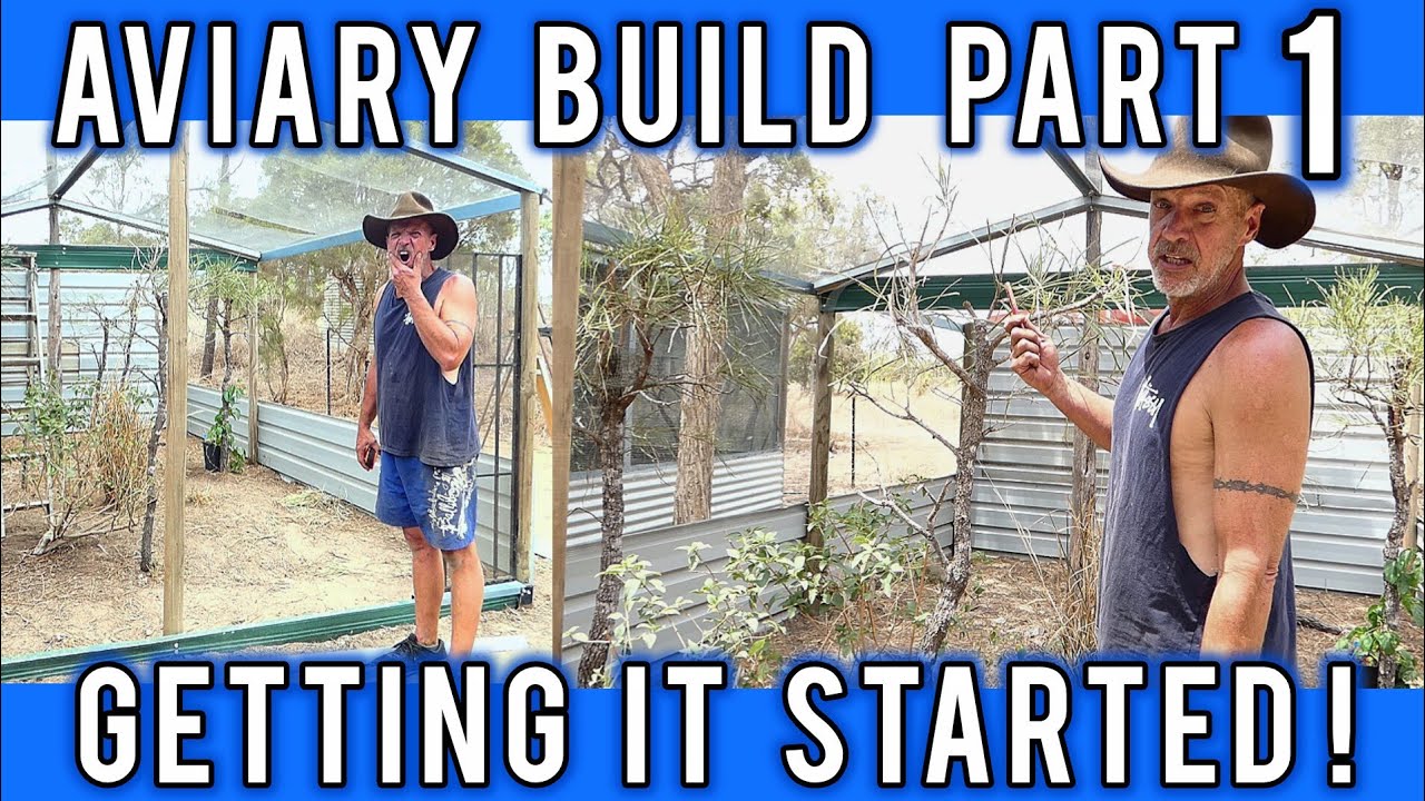 Aviary Build Part 1: Mick finally gets building on the new Aviary ...