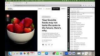 Snap and Read- Chrome Extension- Outline Feature