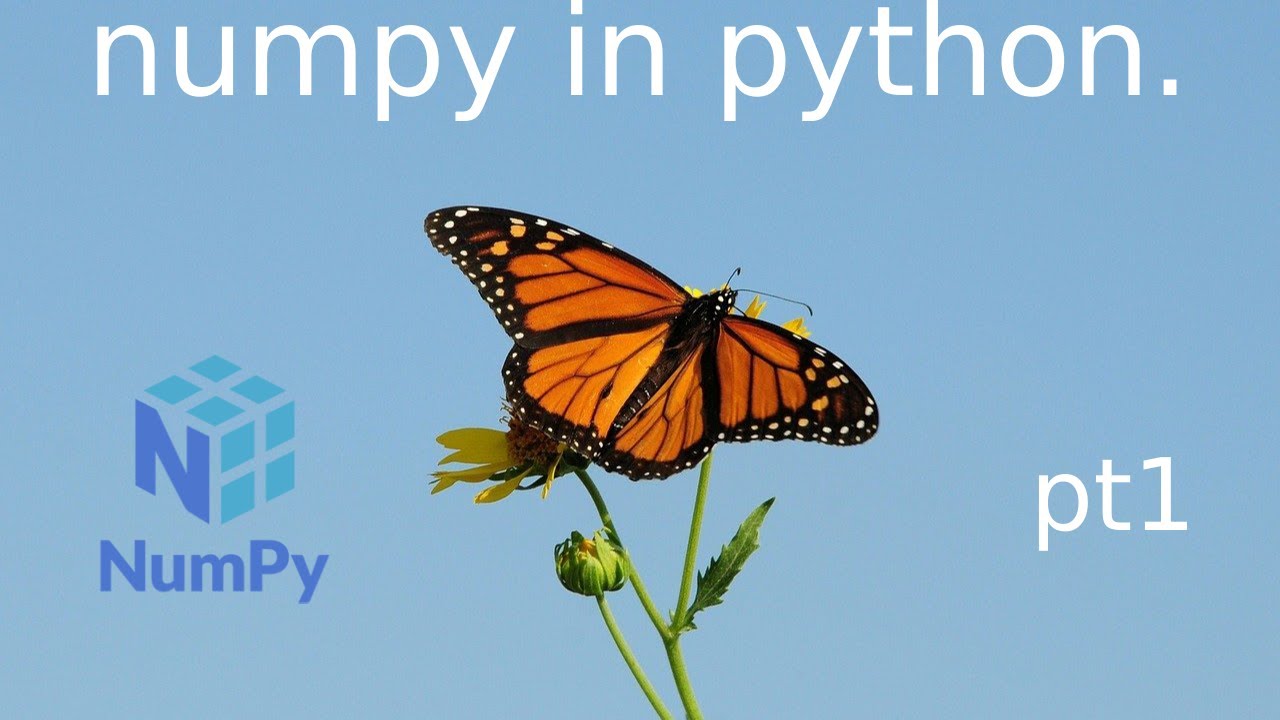 numpy in python explanation. pt1 - YouTube