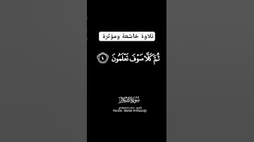 تلاوة خاشعة ومؤثرة #fypシ #فرنسا #omletarcade #reels #fff #instagram #religion #indian