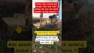 di Asuh Bid4dari shorts