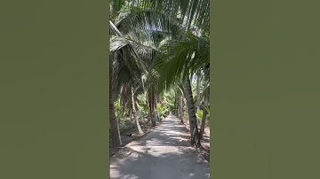 Đất đẹp giá rẻ - 135 triệu DT : 140m2 (có 100m thổ cư). Xã Tân Thới, Tân Phú Đông, Tiền Giang