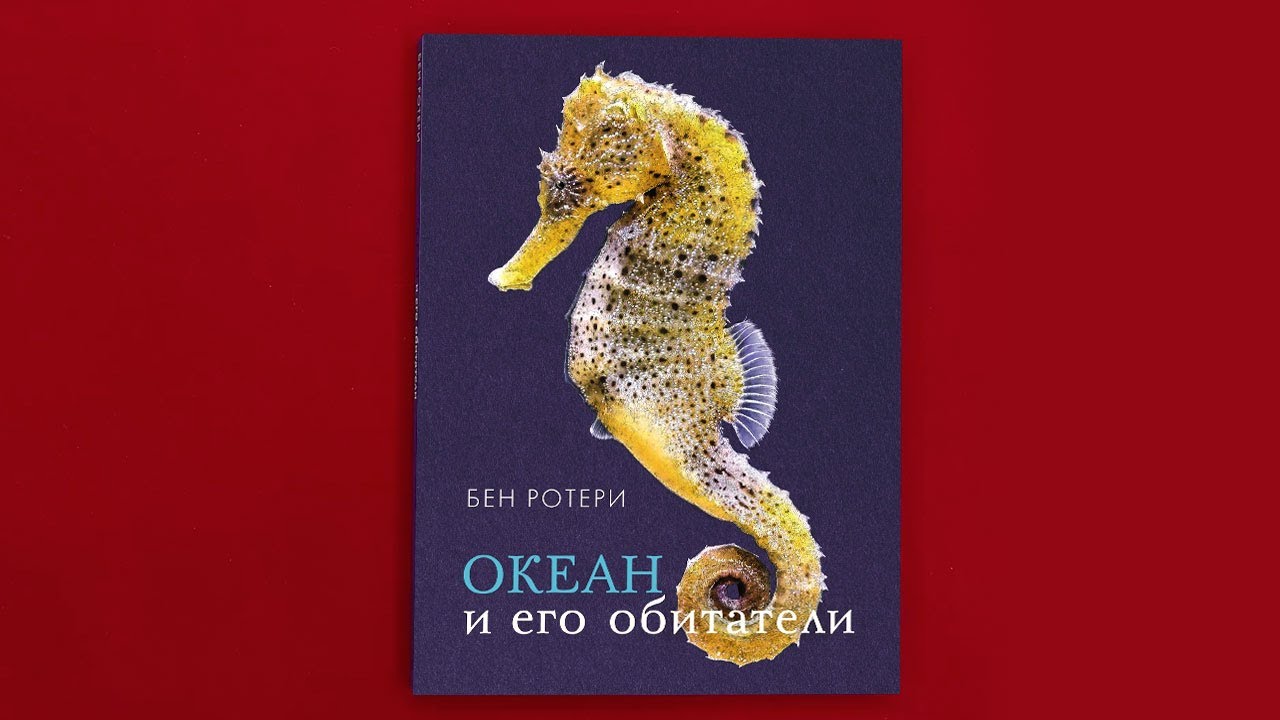 «Океан и его обитатели» Бен Ротери - YouTube