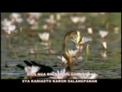 Dayegon Si Hesus with Lyrics - Sadrac Sombrio - YouTube