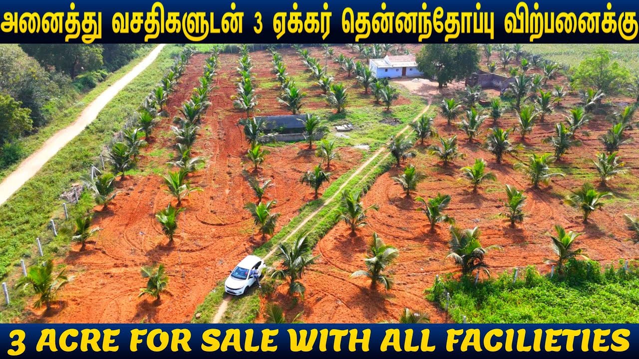 🌴அனைத்து வசதிகளுடன் 3 ஏக்கர் தென்னந்தோப்பு விற்பனைக்கு🌴3 ACRE FOR SALE#palani #udumalai #farmhouse