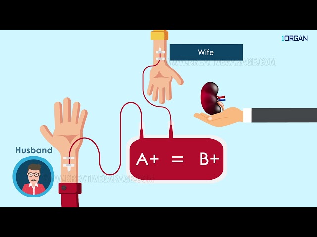 Explainer Video for 1 Organ App | Kreative Garage Studios | Mumbai, India