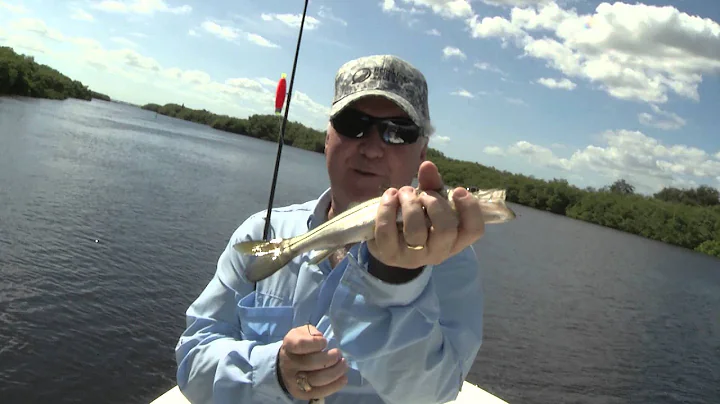 Fishing in Tampa Bay on CTTV's "The Mayor's Hour"