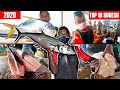 Top 10 Most Viewed  Fish Cutting Skills 2020 |  Most Viewed Fish Cutting Videos 2020 | Mr. Suresh