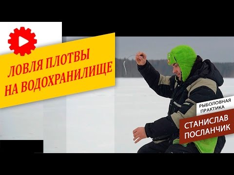 Зимняя рыбалка. Ловля плотвы на водохранилище со Станиславом Посланчиком. Зимняя рыбалка. Ловля плотвы на водохранилище со Станиславом Посланчиком.