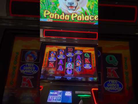 de nuevo torito león SLOTS ahora en SPIRIT OF MUSTANG $$$$$$$