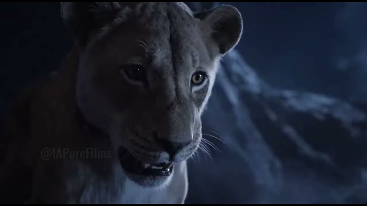 The Lioness — A Mother’s War in the Wild