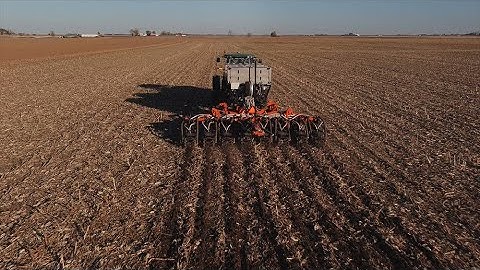 Enhancing Soybean Yields: The Impact of Strategic Nutrient Management