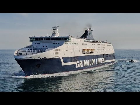 Saluto tra Cruise