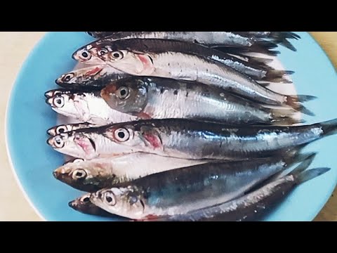 Vidéo: Comment Faire Frire Le Poisson Délicieusement