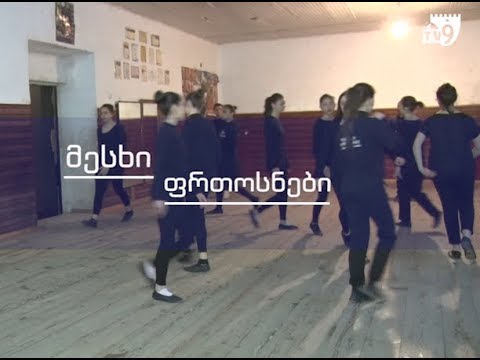 მესხი ფრთოსნები