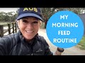 My Morning Feed Routine!