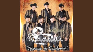 El Zapateado Encabronado