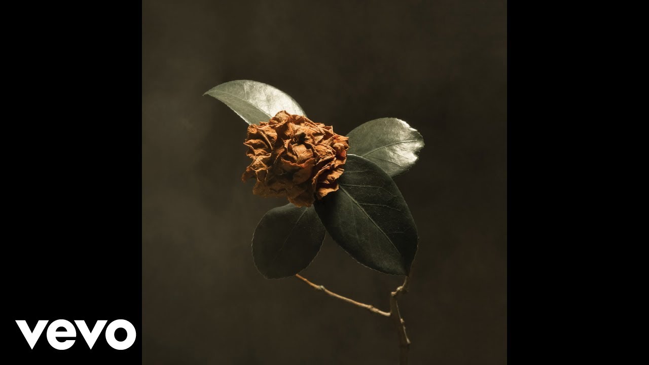 St. Paul & The Broken Bones - Mr. Invisible (Audio) adlı videoyu YouTube'da izle St. Paul & The Broken Bones - Mr. Invisible (Audio) adlı videoyu YouTube'da izle