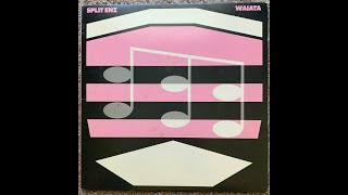 Split Enz Ghost Girl Net Worth
