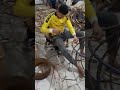 201021537353 شاهد كيف تصنع مرجيحة عش العصفورة 201021537353 شاهد كيف تصنع مرجيحة عش العصفورة