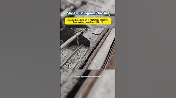 SF-4 Flotation Machine in Action | 200 t/d Processing Capacity | Mineral Processing #crushingplant