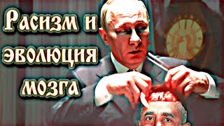 Интеллектуальная деградация человечества: расизм и эволюция мозга