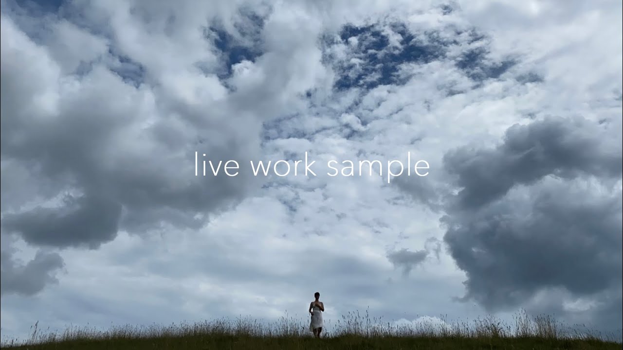 Sarah Butler Sampler Sarah Butler, Work Sample - YouTube