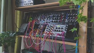 Generative Ambience | Eurorack, O_c, Make Noise Maths, Plaits