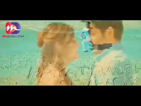 اجمل أغنيه عيدالحب