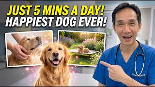 Do THIS for 5 Minutes a Day to Make Your Dog the Happiest Pet Ever! screenshot 2