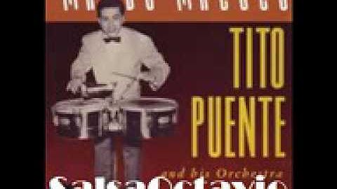 Cuero na ma salsa 2016