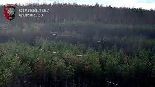 Kreminna - 20.06.2025. Video Shows Fiber Optic Cables Left Behind By Fpvs In The Serebryansky Forest