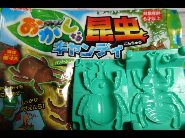 【オーダー用】ミニ版１０種の可愛い昆虫セット カッティングダイ 春 夏 おかしな昆虫キャンディ 知育菓子 子供向け 独角仙/Insect