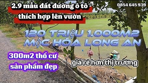 Số40/29 công đường ô tô xã bình Hòa đông huyện Mộc Hóa Long An khu thích hợp làm vườn 120tr/c