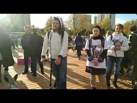 Собаки породы Друг. В парке Садовники прошла выставка приютских питомцев camera iphone 8 plus apk