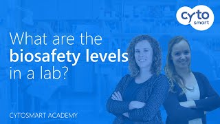 What are the different biosafety levels (BSL) in a lab  CytoSMART Academy