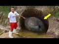 The Farmer discovered a giant Egg on his land! What it had inside was truly Unbelievable!