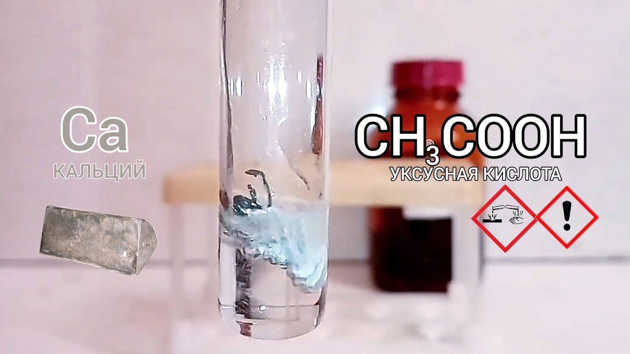 Опыты с уксусной кислотой по химии. Серная кислота эксперименты. Уксусная кислота и кальций реакция. Эксперимент с костью и соляной кислотой.