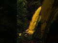 Subscribe and comment for this kinda videos #foryou #love #sunset