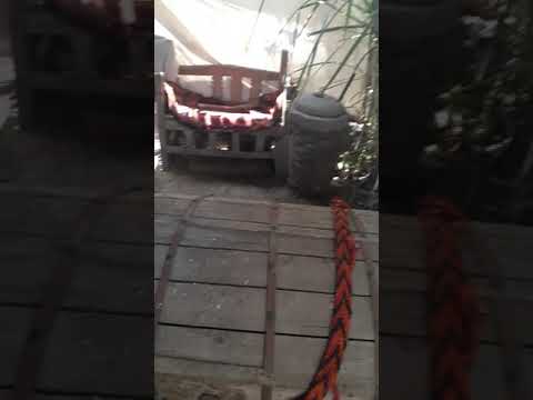 السعادات بلبيس شرقيه