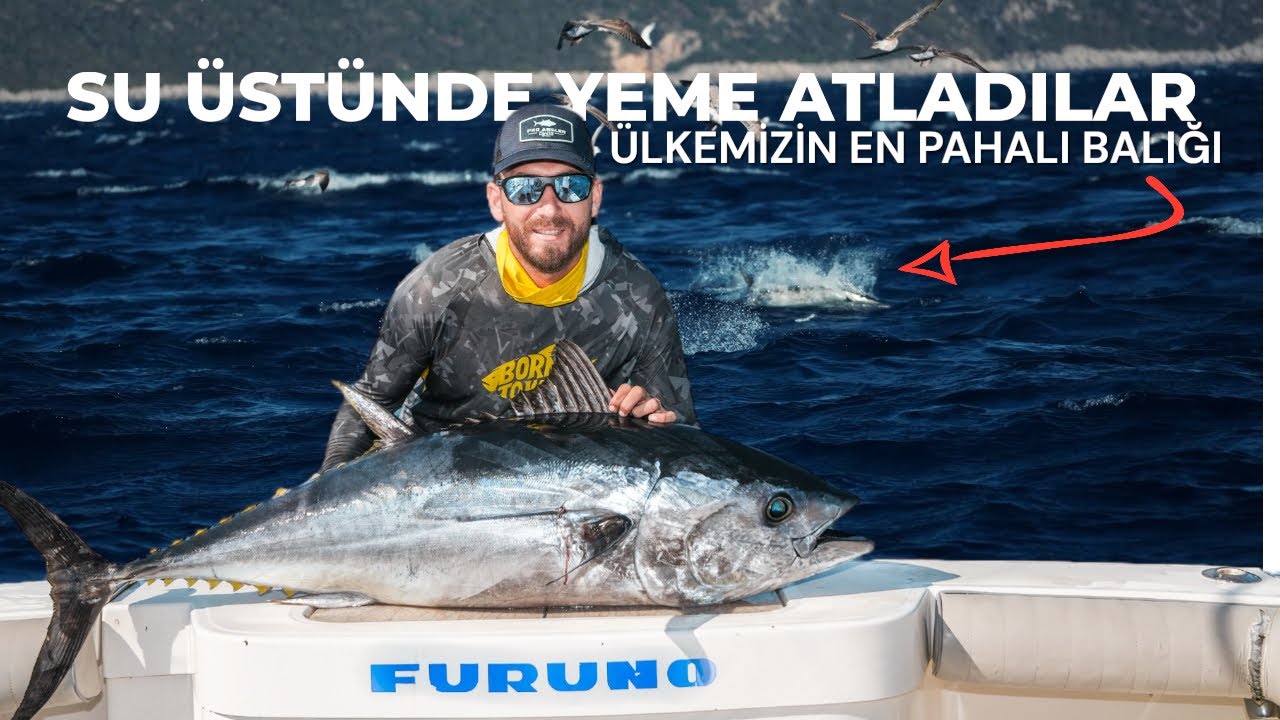 OLTA İLE TUTULABİLEN EN BÜYÜK BALIKLAR