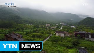 산림강국 코리아 11회 / YTN