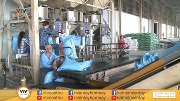 ẤN ĐỘ CẤM XUẤT KHẨU GẠO:  THÁCH THỨC HAY CƠ HỘI CHO NGÀNH GẠO VIỆT NAM?