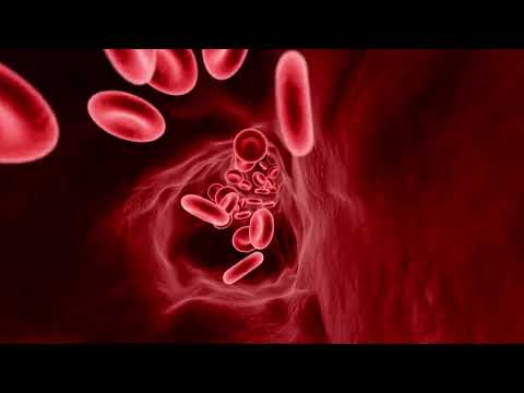 CANCER: HOW IT START