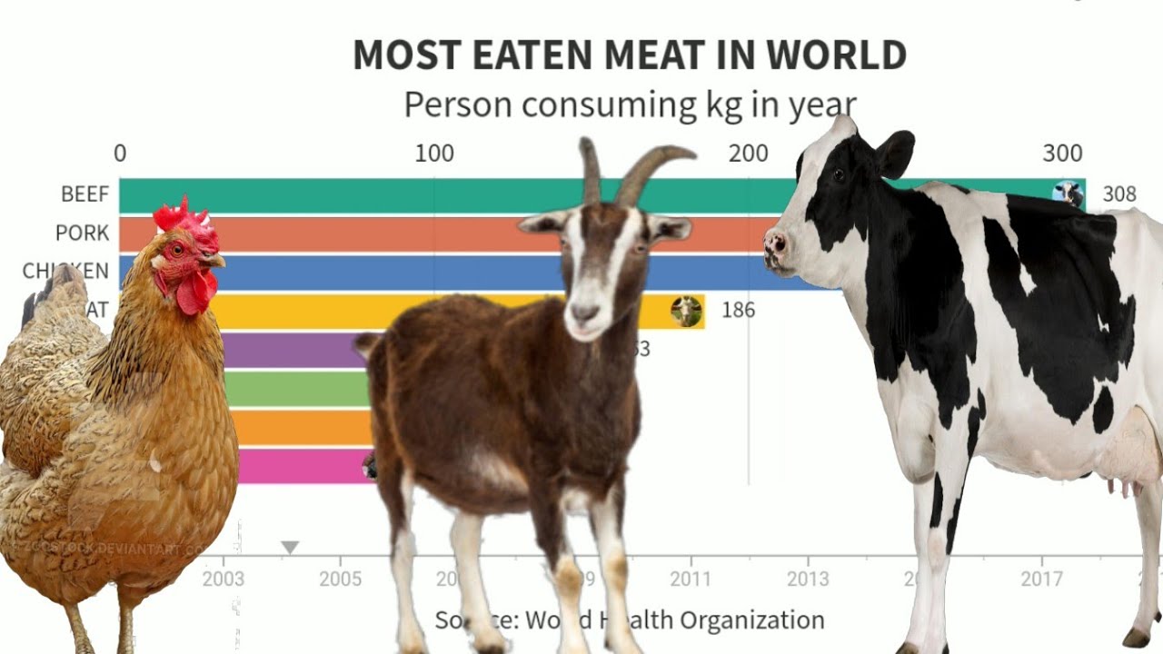Most eaten meat in the world is? TOP DATA YouTube