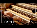 Miniature de la vidéo de la chanson Concerto En Ré Mineur, Bwv 596: Allegro