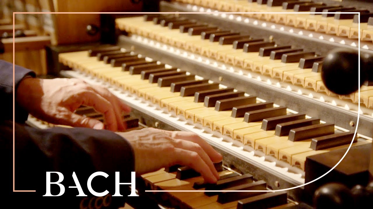 Bach   Concerto in D minor BWV 596   Van Doeselaar  Netherlands Bach Society