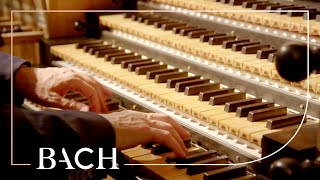 Bach - Concerto in D minor BWV 596 - Van Doeselaar | Netherlands Bach Society
