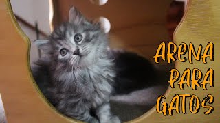 ¿QUÉ ARENA USAR CON MI GATO 🙀? / TIPOS DE ARENA / TIPOS DE ARENERO 😸 by Karin con Pollo  211 views 3 years ago 3 minutes, 39 seconds