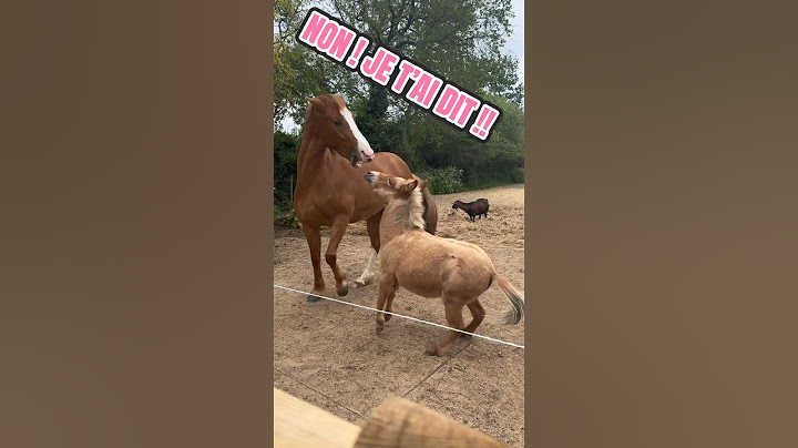 Mimi G.C 🦄 n’est pas commode avec Mumule 🐽🤣 #shortwithzita